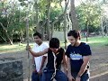 Scouts - Practica de Amarres