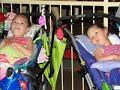 Spinal Muscular Atrophy - In Memory of Lily 6th Bday Spinal Muscular Atrophy - In Memory of Lily 6th Bday
