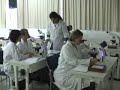Lab. Microscopia - FURB