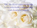 FELIZ NIVER DÁ !!!!!