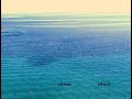 VideoPoetry SYNATHOOI