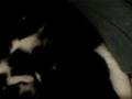 Feeding time for newborn kittens