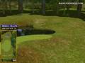 Golden Tee Great Shot on Sunny Wood!