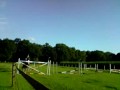 Tinker / Gypsy Horse / Cob Bonny jumps 1.35m (she is 1.40m)