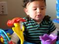 Dani plays in his neglectorama