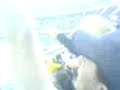 boca vs san lorenzo...en la 12