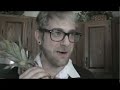 Don't Steal My Pineapple!