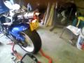 TLR 1000 Streetfighter
