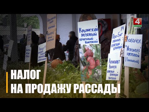 Узнали, как физлицам правильно платить налог при продаже рассады на рынке видео
