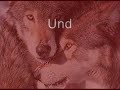 ~Gemeinschaft~ ~Gemeinschaft~