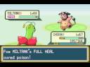 the fifth battle against carlos, it was quite a tough battle indeed. just so you know, i hate miltanks! both his and whitney's miltanks are annoying as hell!
and he says that he'll be slower cos he needs to go to the pokemon center! does he think that i don't need to?