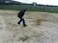 Kenzo Playing