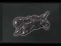 Devil May Cry, DMD 100% Challenge, Mission 23