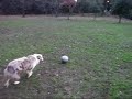 Zoe Soccer