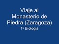 Viaje Monasterio de Piedra, Biología 1º Bachillerato.wmv