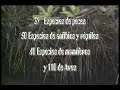 Descubriendo el sureste mexicano[Parte2]