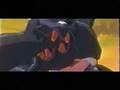 AMV Within Temptation Caged Evangelion