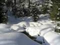 POEME D HIVER