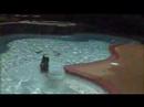 Bailey Swimming