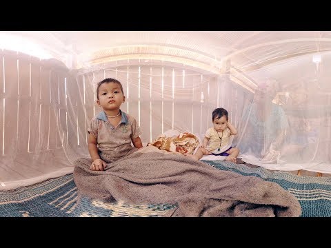 Mosquito wars - YouTube