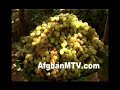 afghanistan-farhad-darya.html