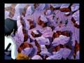 Naruto in sr-71 - tomorrow!.wmv