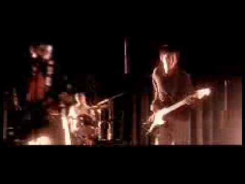 Sponge Cola - Gemini