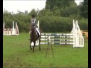 BSJA Showjumping || MEGAMIX! ||