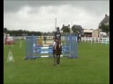 BSJA Showjumping || MEGAMIX! ||