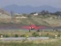 DAGO RED P51D