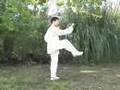 Chen Tai Chi Form 56 Taiji