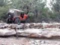 Bull on Webber Falls V