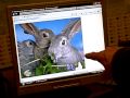 ENGLISH LESSON 1R R FOR RABBIT BY LEONARD WELLS