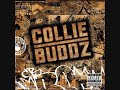 Collie Buddz – she gimmy love
