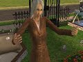 Sims doing random things!
