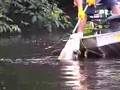 Big %#@^** Amazon Catfish