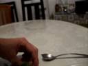 Venus flytrap eeting ant Venus flytrap eeting ant