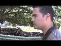 Samoan Island Tsunami 2009 Video