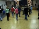 64 count b+/int line dance to 'the animal song' by savage garden
