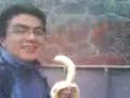 chanky y la banana