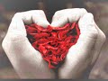 Um amor pra recordar - carina dantas