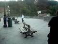 videos de asgu el jarto