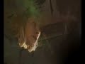 Supertornado music video- Song To Say Goodbye