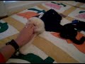 fall off bed