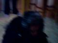 videos de der schone junge