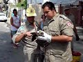 essa é uma situação que me comoveu muito pois uma senhora ligou chorando pro quartel dizendo que tinha um gaviao na porta de sua casa e que ele podia ser atropelado ou ferir alguem, e ela tem toda a razão, e essa senhora fez tudo certo ligou pra gente pois seu bico pode cegar e suas garras sao como navalhas, entao chegando no local pedi minha equipe pra fechar o transito e cercar para que ele nao escapasse, eu mesmo fui abordar o bichinho, pois tenho medo que alguem  da minha equipe se machuque tambem, e tambem aprendi a manejar animais com o Dr Andre Maia do zoo nit (do programa vida animal) entao vi que a senhora nao parava de chorar, pois o animal causava muita comoçao aos moradores, depois de resgatado a senhora desabou a chorar e eu expliquei que seria levado ao veterinario e ninguem melhor que o Dr andre maia do zoo nit, Agradeço ao Soldado Lago por ter registrado e a minha querida Nina Leona que eu acordei para pedir o telefone do Dr, pois a gente depois de muito tempo tinha visitado seu consultorio e ela havia anotado o telefone novo do Dr, entao o animal pode receber os melhores cuidados graças a ela!! E ao Dr que recebeu imediatamente o Bichinho que havia quebrado sua asa esquerda mais agora ficara novo em folha!!  E os moradores ficaram tranquilos de novo , mais um dia de trabalho, por isso eu amo muito essa profissao e nao tem dinheiro que pague essa sensaçao de fazer o bem!