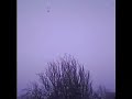 Nieve en Aracena 2005