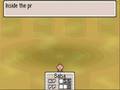 Mother 3 - Great Antlion