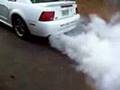 Seafoam in the Mustang