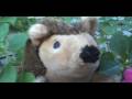 HEDRICK THE HEDGEHOG - New Year's Resolutions